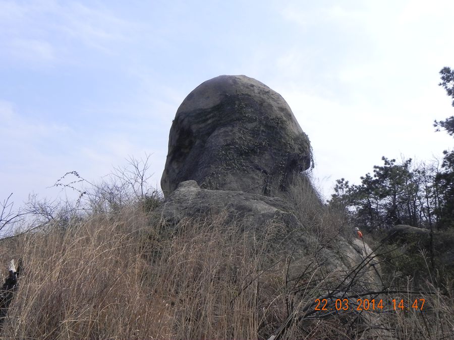dscn6988.jpg