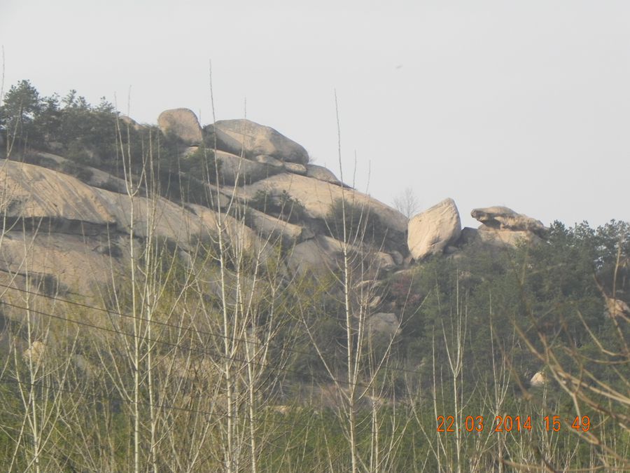 dscn6991.jpg