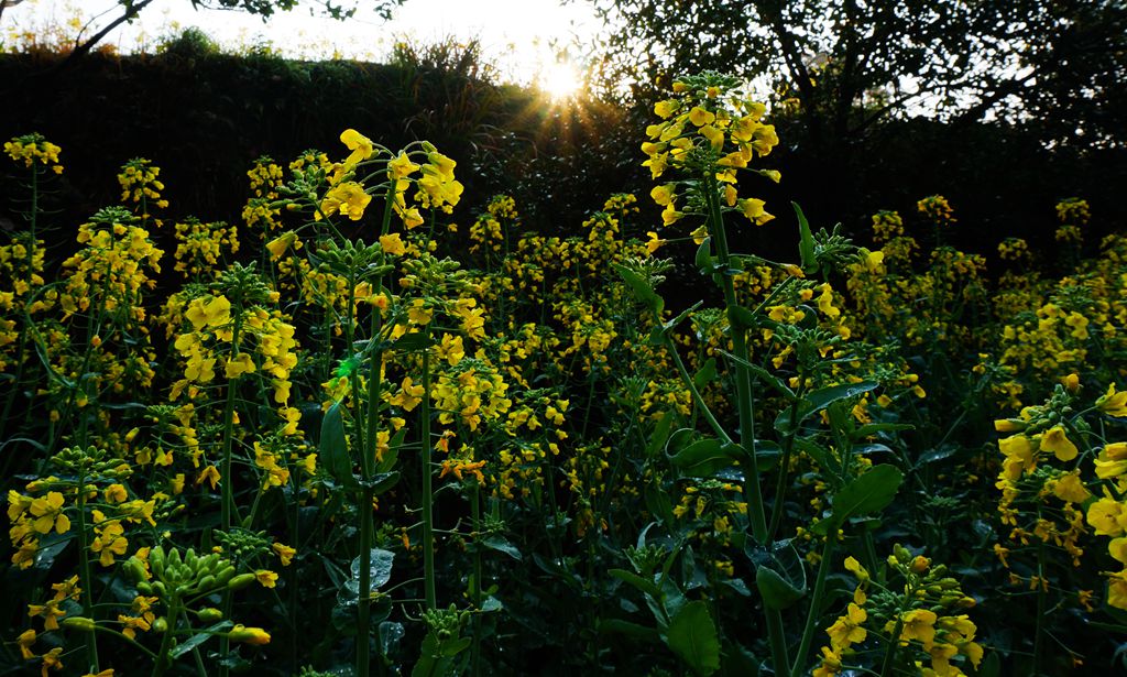 dsc01408_.jpg