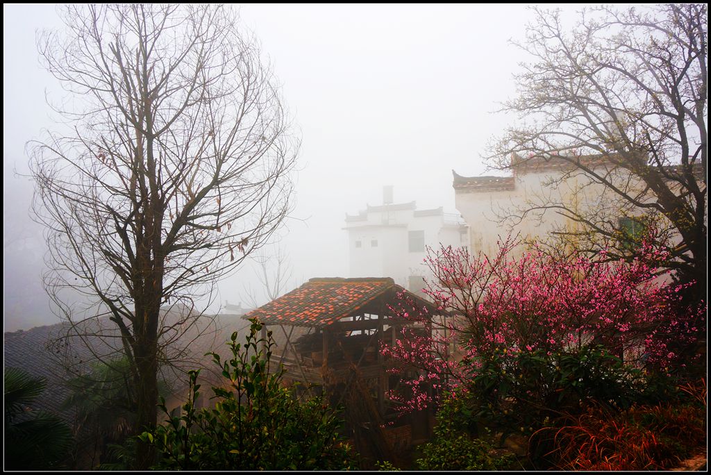 dsc01397_.jpg