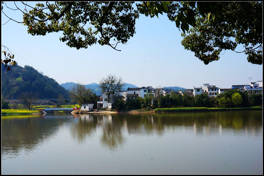 dsc01572_.jpg