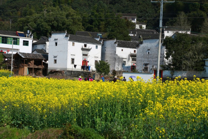 conew_img_0868_conew1.jpg