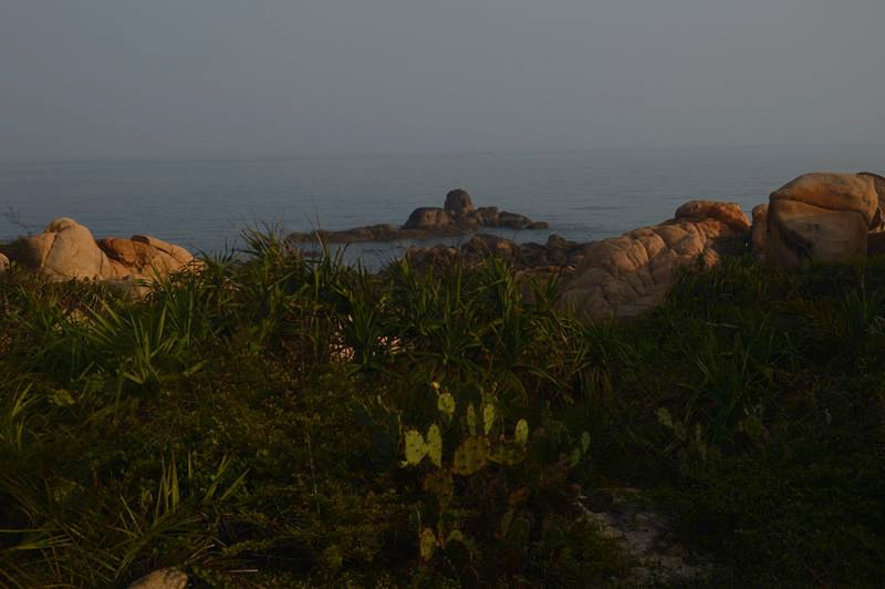 dsc_0650_.jpg