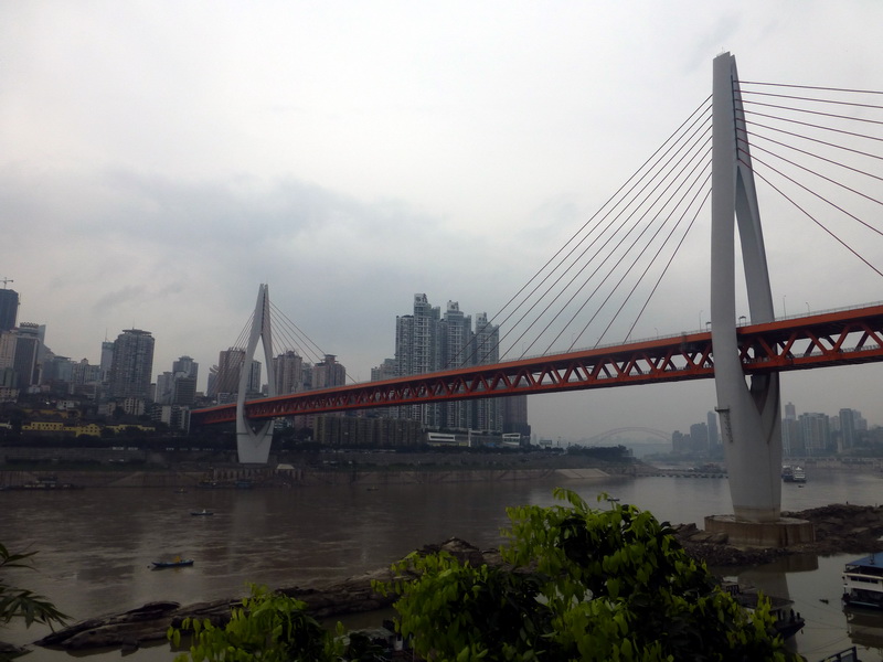 p1190333.jpg