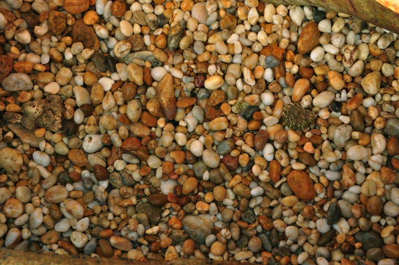 dsc_000001.jpg