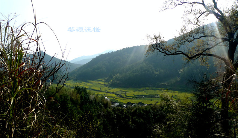 p1130497_1.jpg