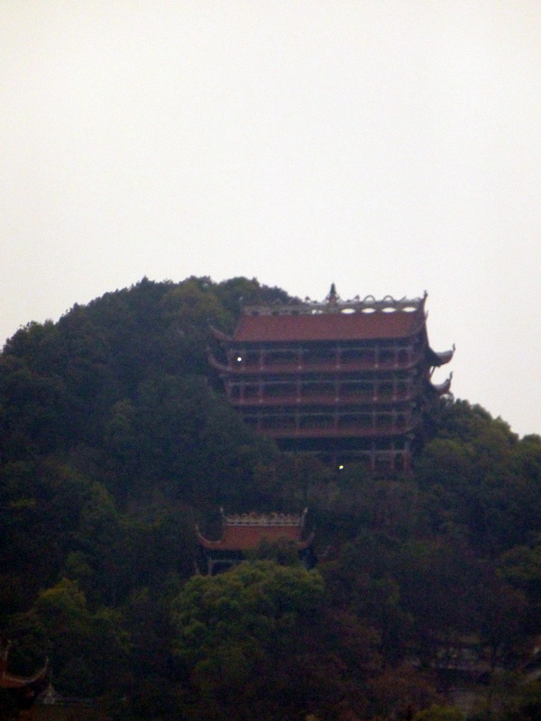 p1190350.jpg
