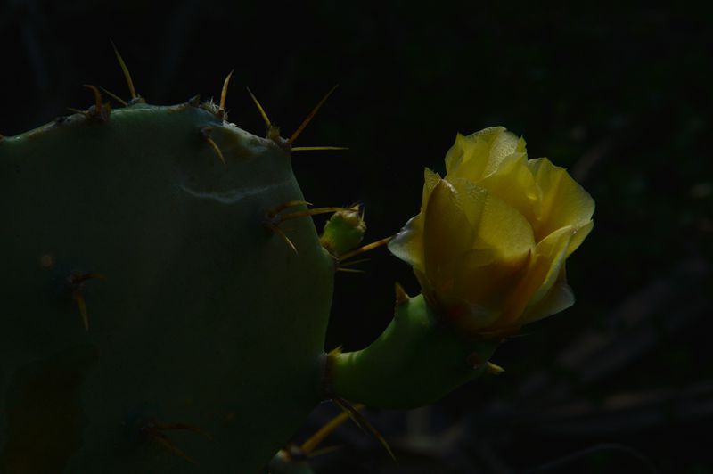 dsc_0744_.jpg