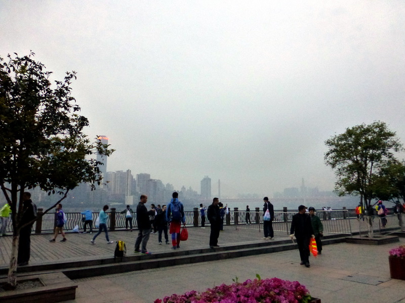 p1190388.jpg