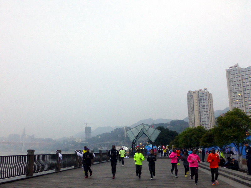 p1190405.jpg