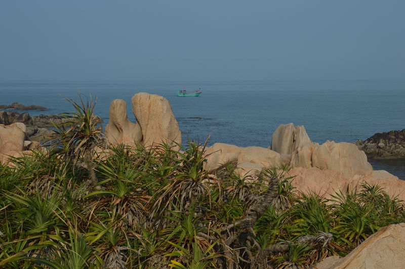 dsc_0712_.jpg