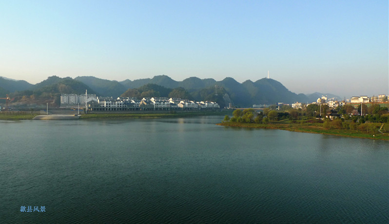 p1130548_1.jpg