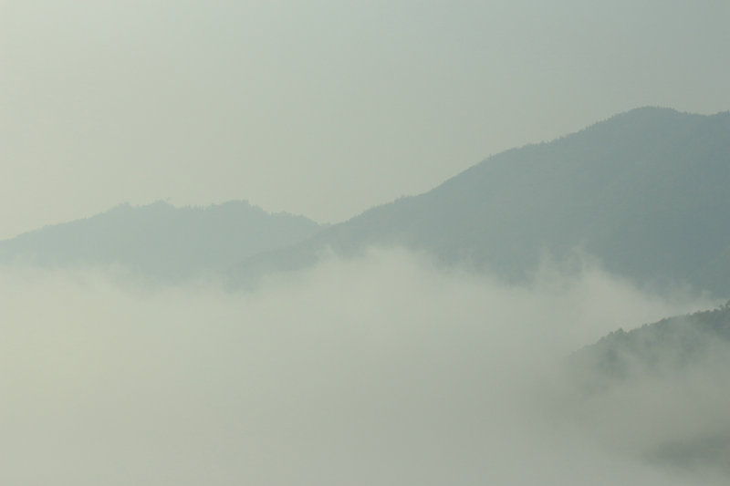 2014պŵͻ 040.jpg