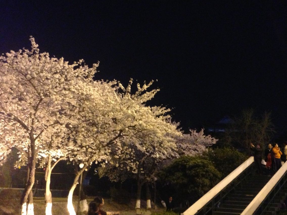 qqͼƬ20140326230633.jpg