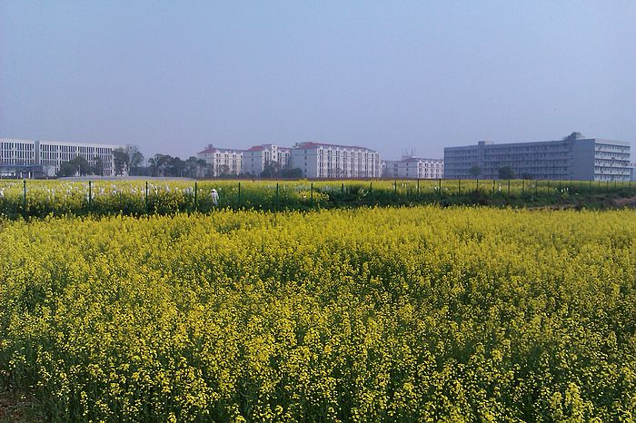 imag0040.jpg