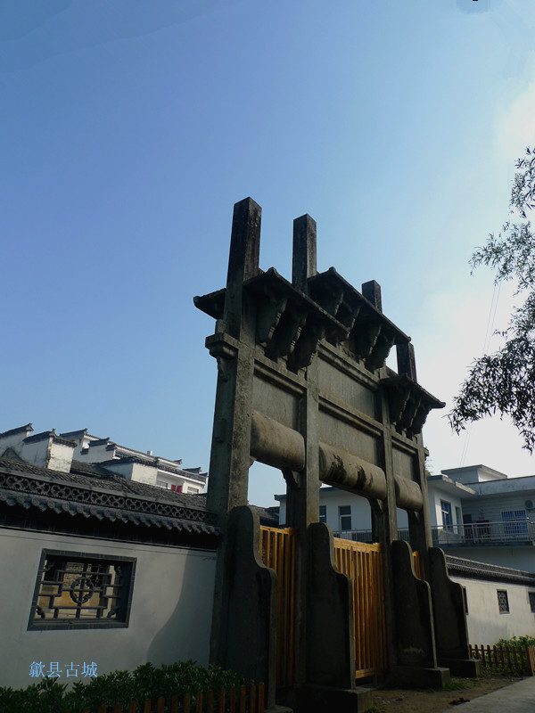 p1130604_1.jpg