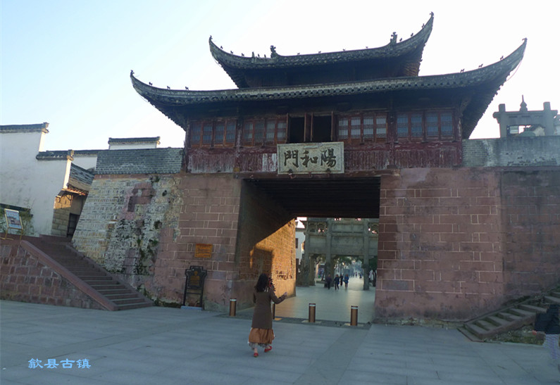 p1130560_1.jpg