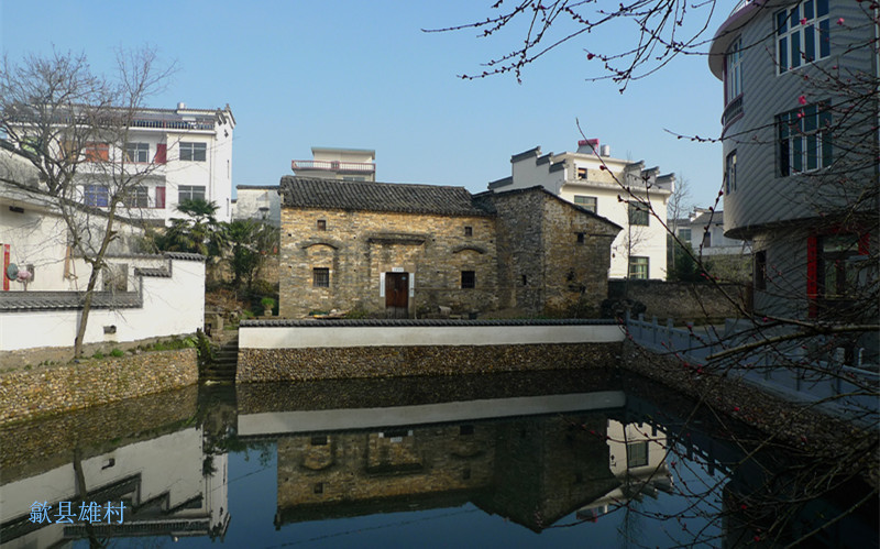 p1130606_1.jpg