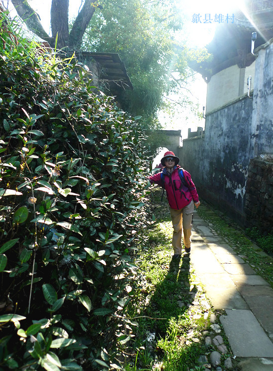 p1130624_1.jpg