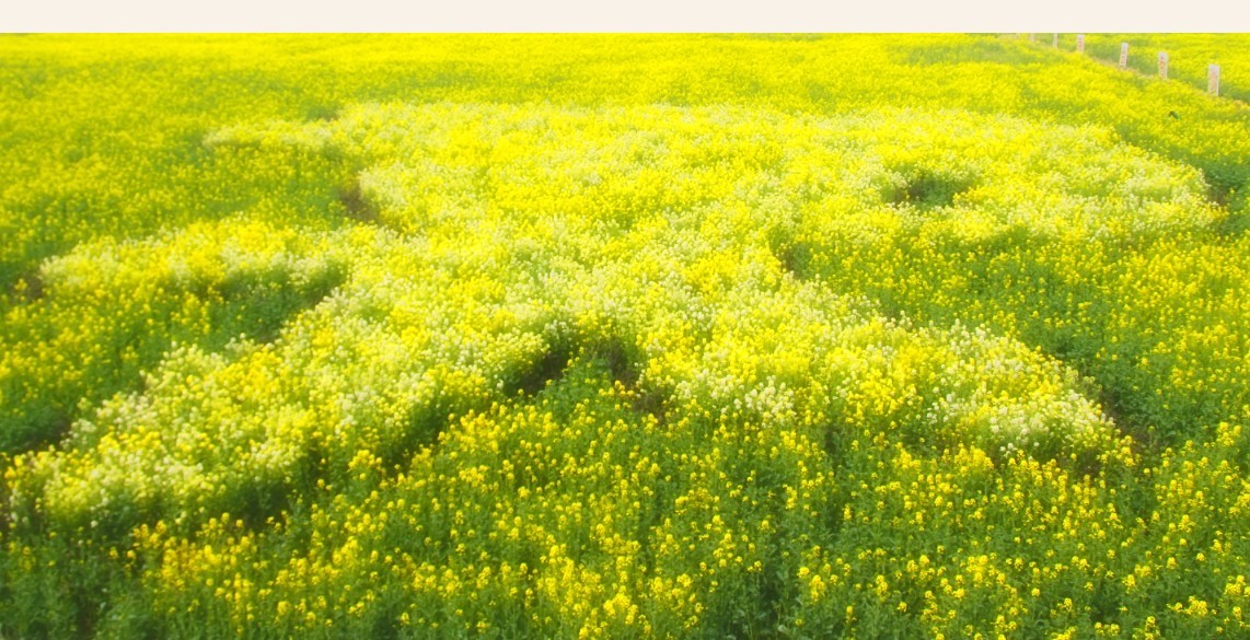 qqͼƬ20140327090453.jpg.jpg