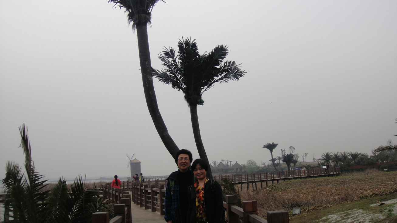 dsc01437.jpg