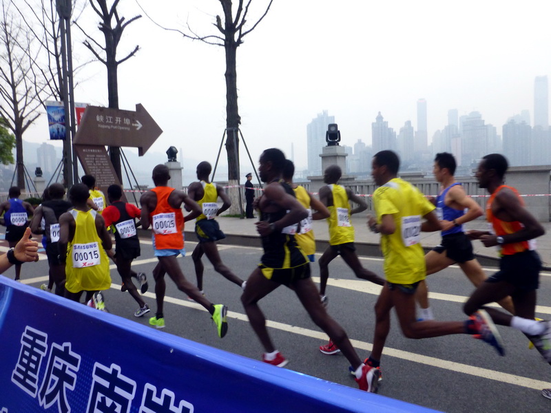 p1190481.jpg