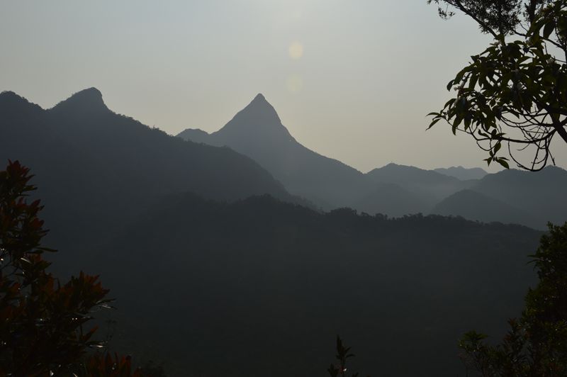 dsc_1021_.jpg