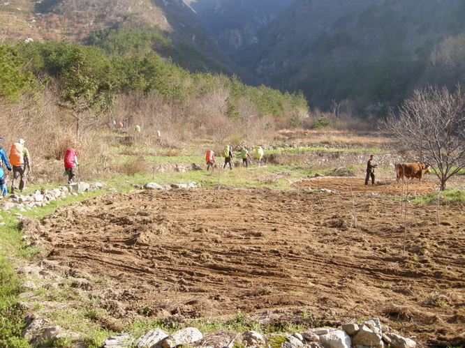dscn9660.jpg