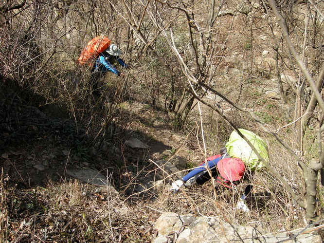 dscn9685.jpg