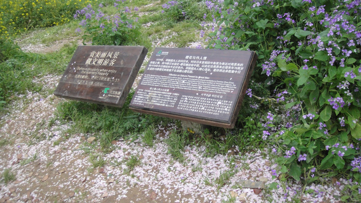 dsc01765.jpg