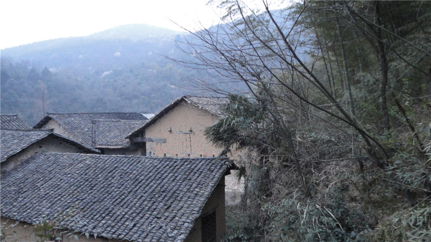 dsc07088.jpg