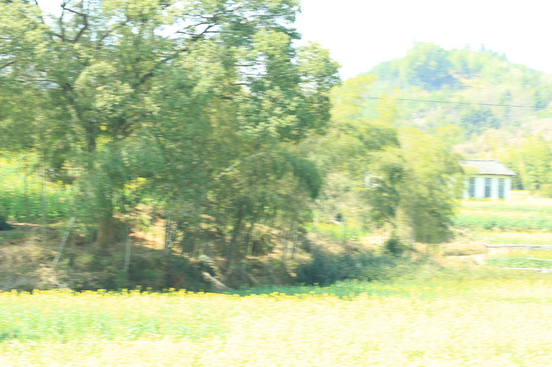 2014պŵͻ 287.jpg