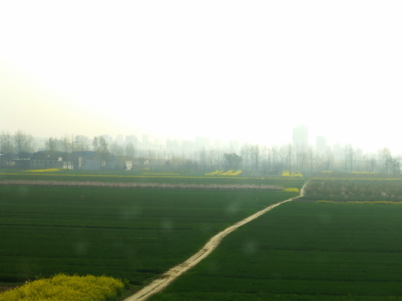 p1190800.jpg