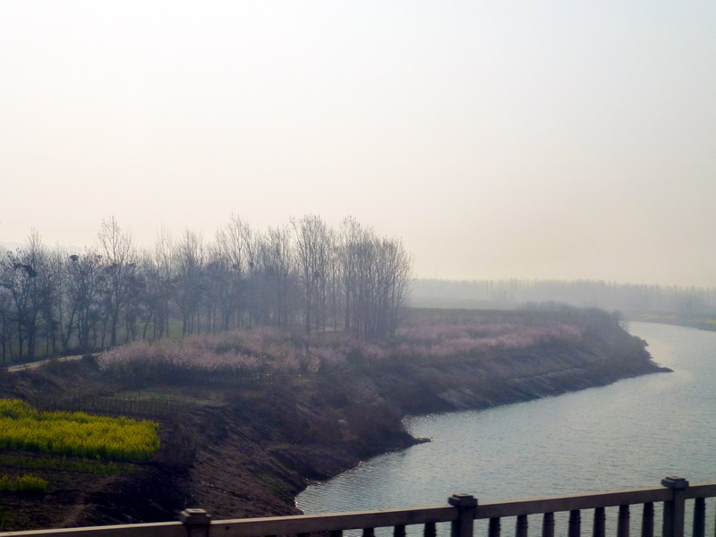 p1190801.jpg