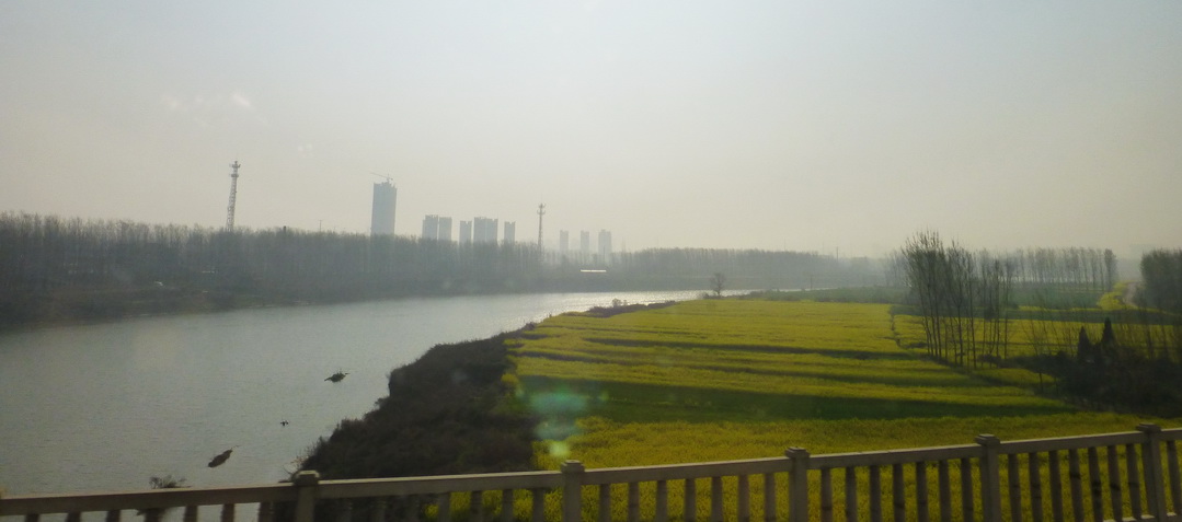 p1190804.jpg