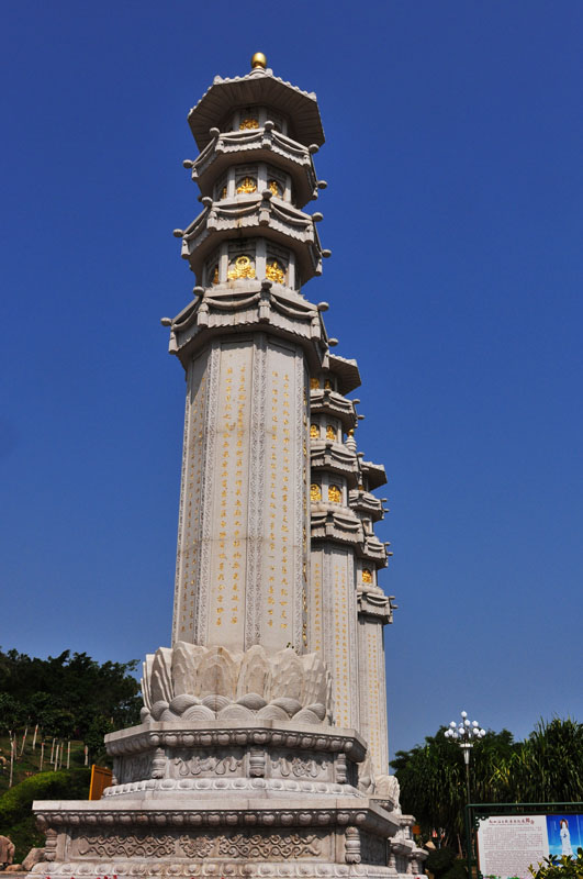 dsc_100037.jpg