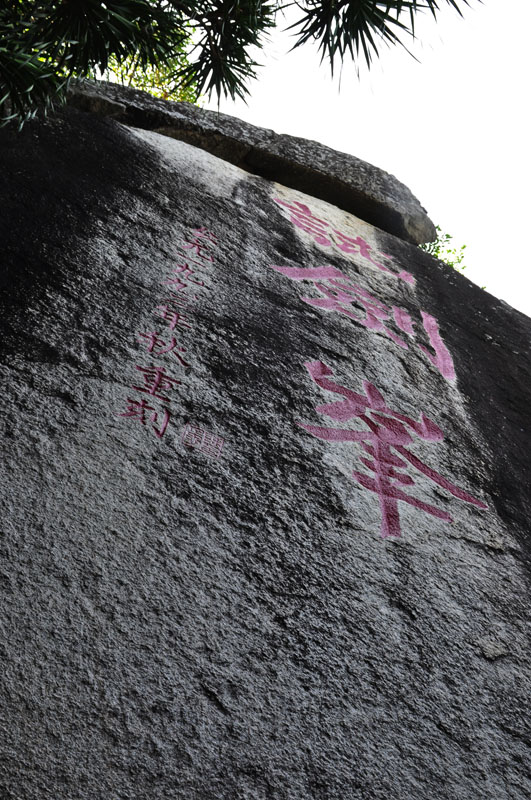 dsc_100036.jpg