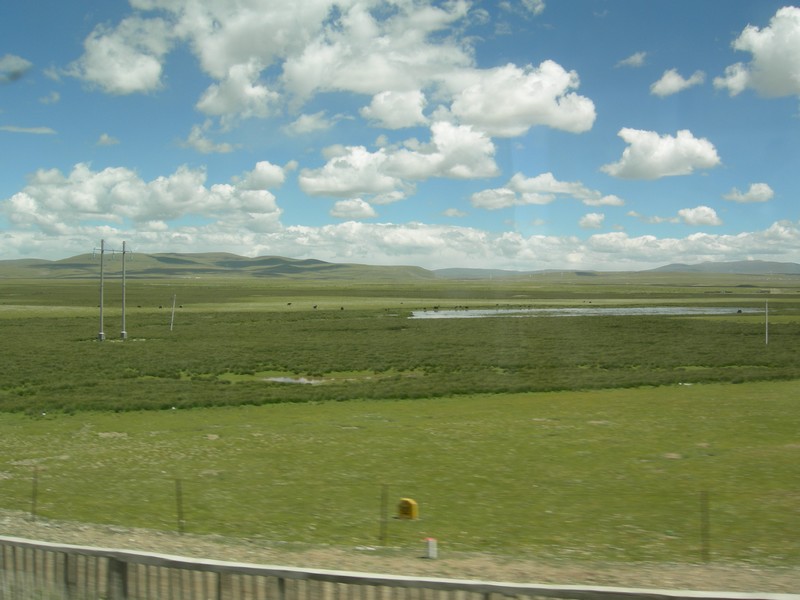 dscn2798.jpg