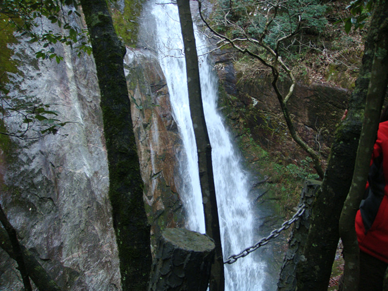 dsc03147_.jpg
