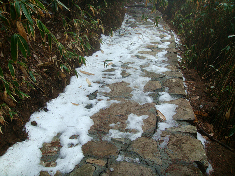 dsc03200_.jpg