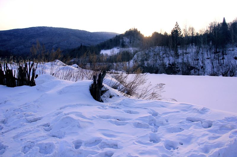 img_9854.jpg