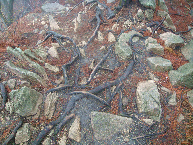 dsc03211_.jpg