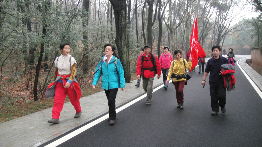 dsc08970.jpg