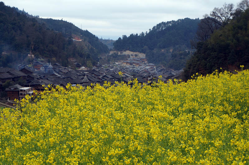 dsc04484.jpg
