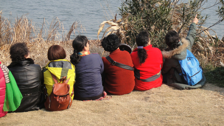 dsc08807.jpg