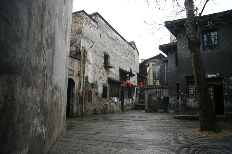 dsc09104.jpg
