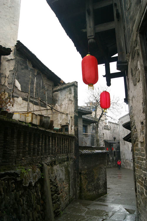 dsc09133.jpg