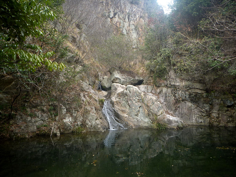 p1190083_.jpg