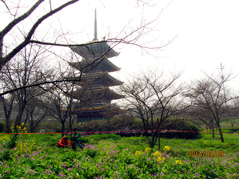 Ƭ20140309 063_.jpg