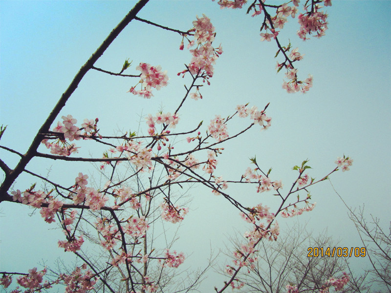 Ƭ20140309 044_.jpg